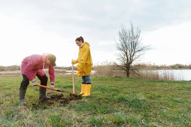 People working on farmland