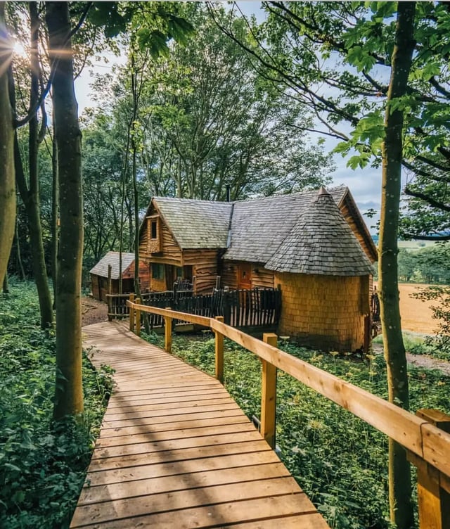 Woodland treehouse at an eco glamping site in Yorkshire